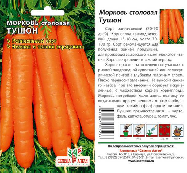Лучшие сорта моркови для открытого грунта: фото, описания, отзывы