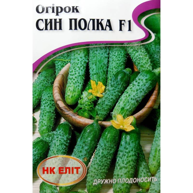 Огурец сын полка f1: отзывы садоводов, описание сорта и фото, посадка и уход
