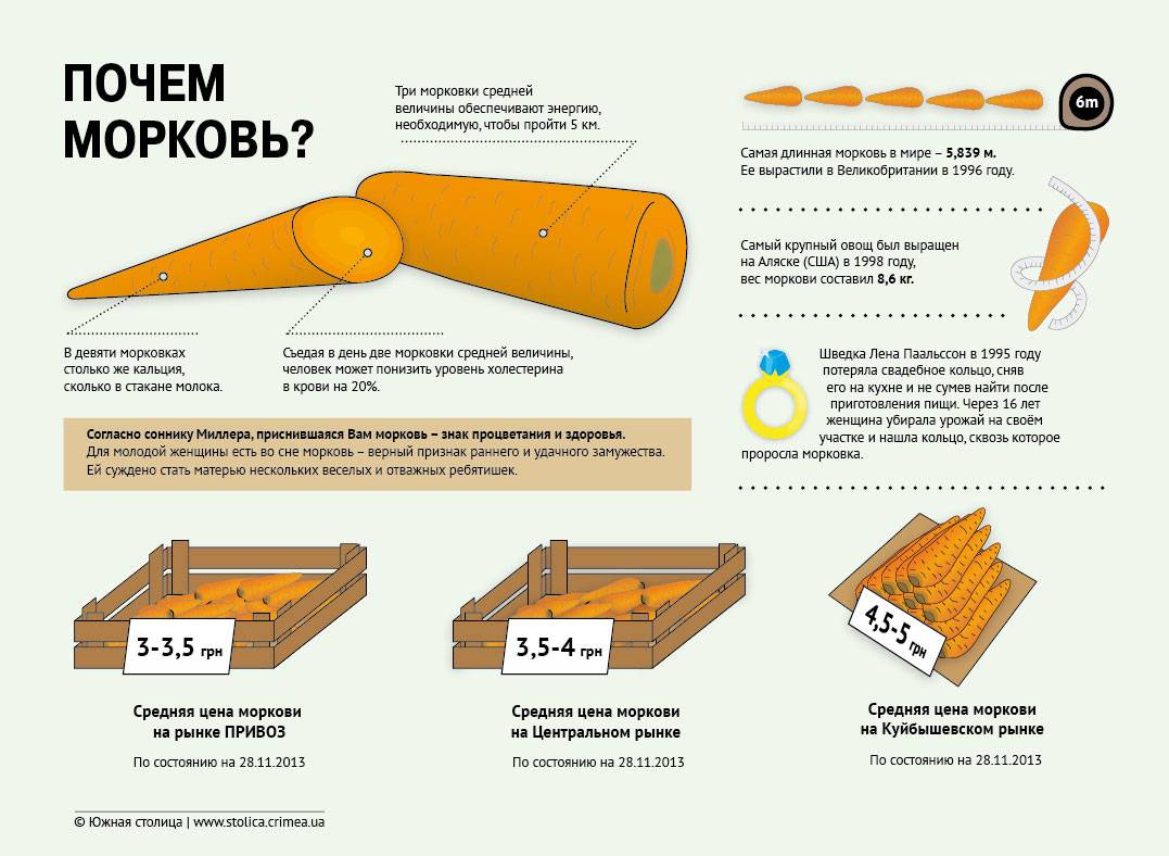 К чему снится собирать