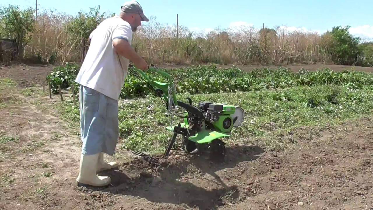 Копка картофеля толкающим трактором: как убрать из видео