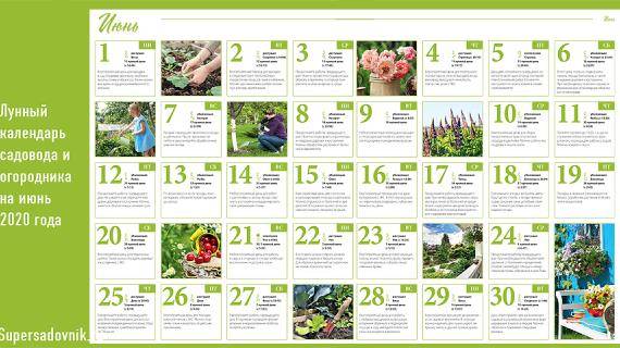 Лунный посевной календарь 2021: таблица посадок садовода и огородника