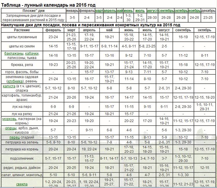 Когда сажать лук на рассаду в 2019 году: наиболее подходящие сроки посева по лунному календарю