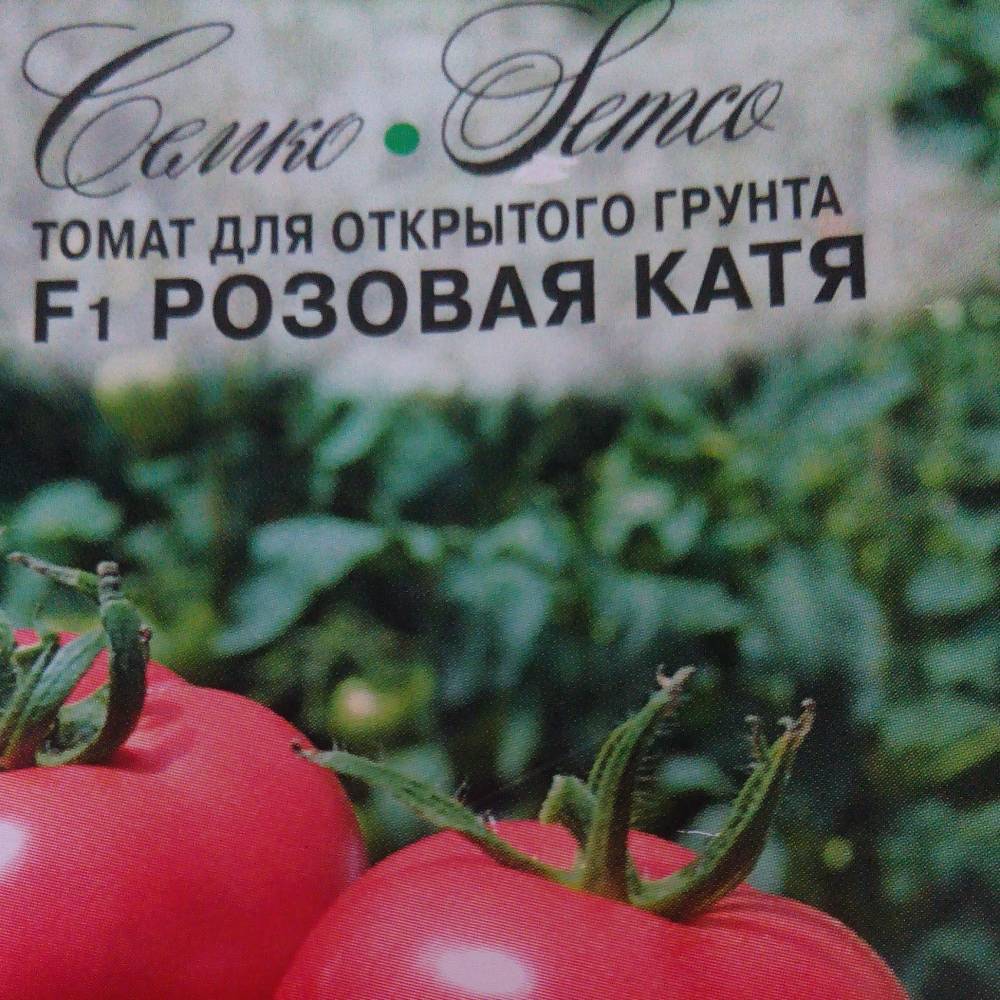 Семена томатов катя. Томат Катя Семко. Томат розовая Катя f1 Семко. Катя Семко помидоры. Томат Катя f1 партнер.
