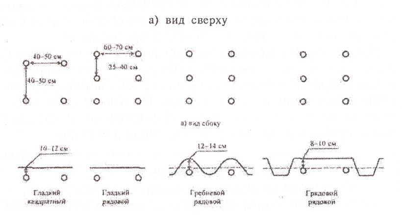 Расстояние между рядами. Двухрядный способ посадки картофеля схема. Схема посадки картофеля в открытом грунте под лопату. Картофель схема посадки в открытый грунт. Посадка картофеля расстояние между рядами и клубнями.