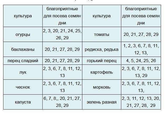 Календарь посадки огурцов в апреле 24 года