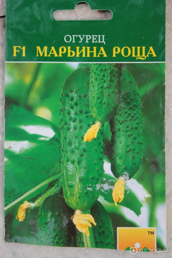 Сорта огурцов, перца, баклажан от компании манул на supersadovnik.ru