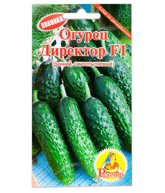 Огурец артист (f1): характеристика и описание сорта, фото, отзывы тех, кто выращивал, рекомендации по уходу