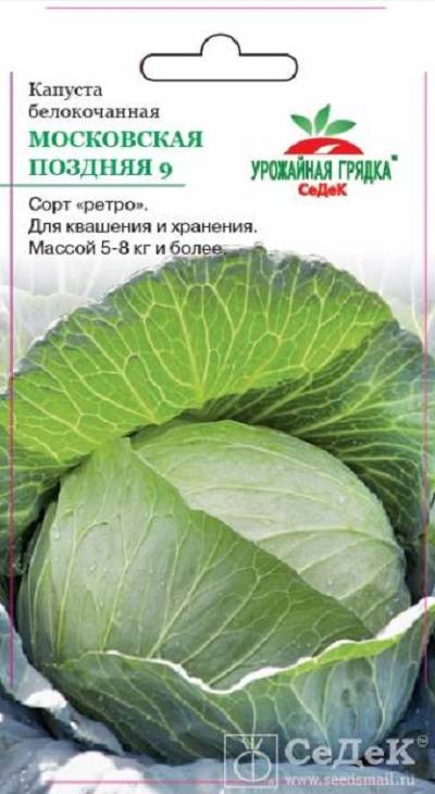 Капуста: виды, описание 33 лучших сортов | (фото) +отзывы