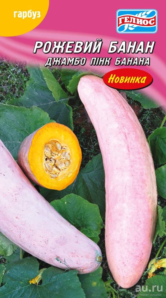 Тыква розовый банан — описание сорта, фото, отзывы, посадка и уход