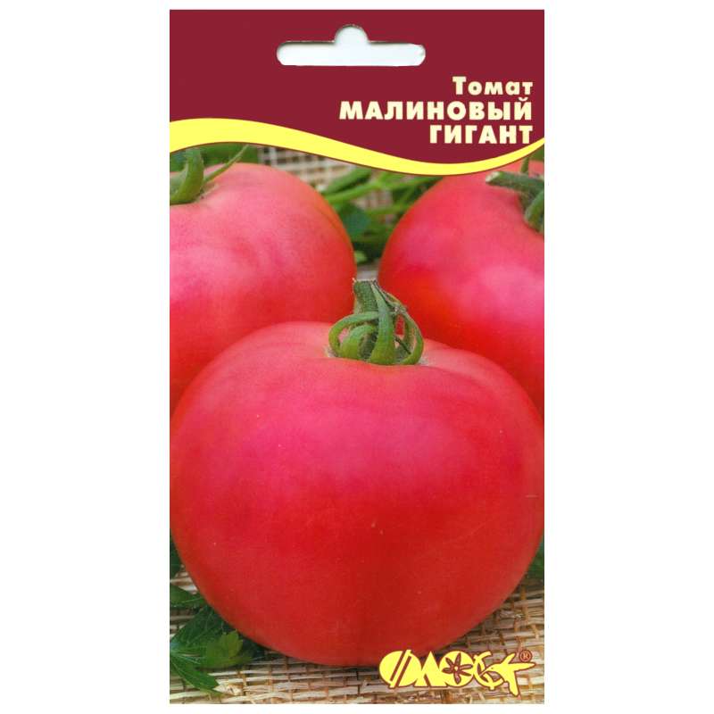 Томат «малиновый великан»: характеристика и описание сорта, отзывы, фото, урожайность – все о томатах. выращивание томатов. сорта и рассада.