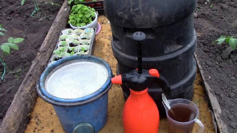 Сыворотка для огурцов и помидоров :использование для  обработки и подкормки овощных культур