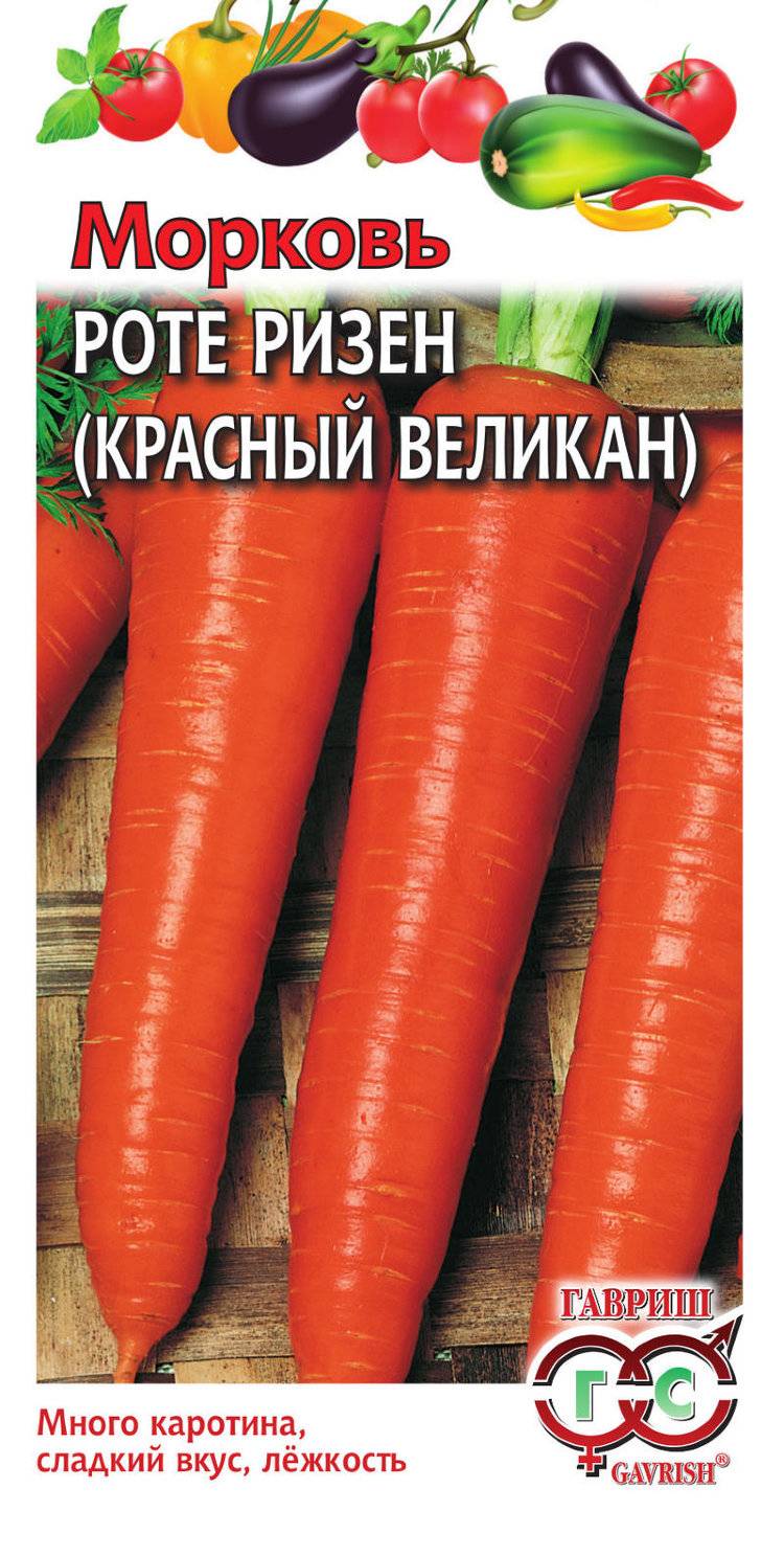 Морковь рогнеда — описание сорта, фото, отзывы, посадка и уход