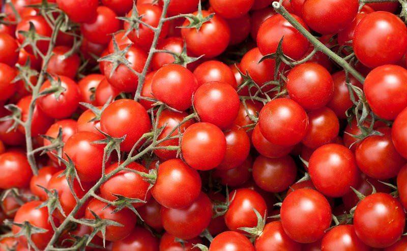Томат вишня красная: характеристика и описание сорта, фото, отзывы, урожайность