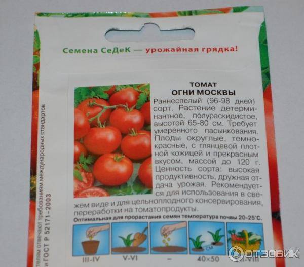 Помидоры "огни москвы": описание сорта, особенности ухода, фото томата русский фермер