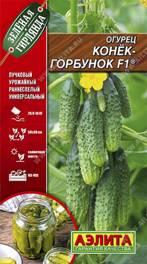 Огурец конек горбунок f1: отзывы, фото семян агро аэлита, описание сорта, посадка и уход