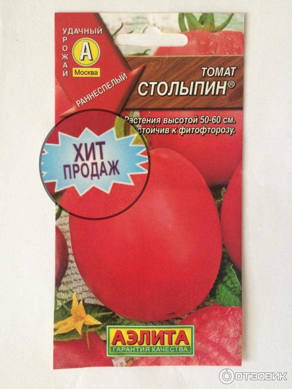 Томат столыпин: описание сорта, характеристика, урожайность, фото и отзывы огородников