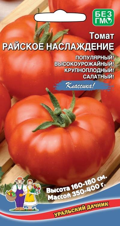 Обзор сорта томата “райское наслаждение” и его отличительных особенностей