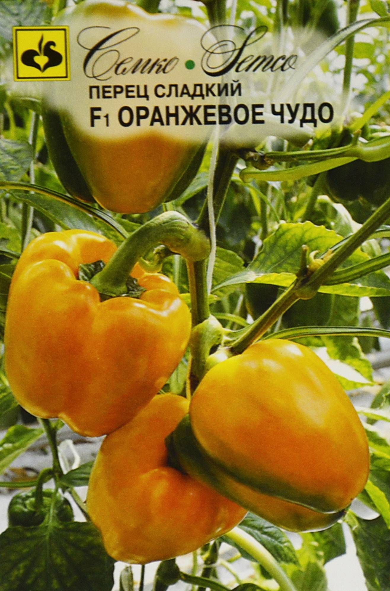 Голландский перец оранжевое чудо
