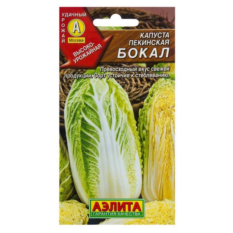 Пекинская капуста бокал: выращивание, уход и фото