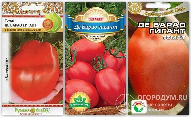 ✅ томат де барао гигант отзывы фото урожайность - питомник46.рф