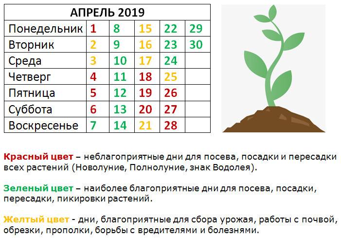 Лунный календарь огородника и садовода на март 2021 года. благоприятные дни для посадки растений в марте 2021 — мир космоса