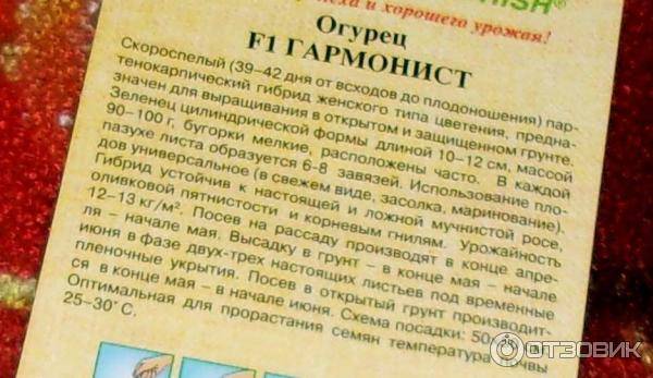 Описание огурца сорта гармонист и его выращивание