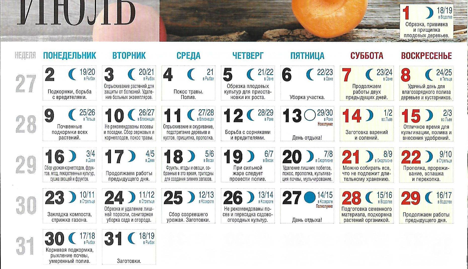 Лунный календарь посадки огурцов в открытый грунт в 2018 году