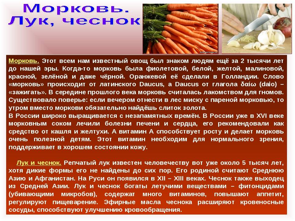 Морковь отварная состав. Полезна морковь для организма. Чем полезна морковь для организма. Для чего полезна морковь. Морковь чем полезна для человека.