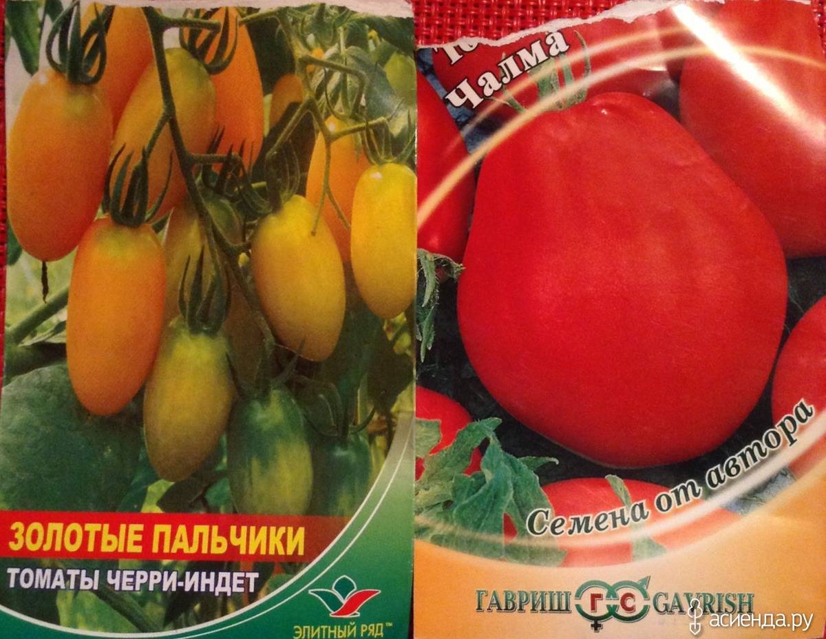 Томат детские пальчики f1: отзывы об урожайности помидоров, фото семян седек, описание и характеристика сорта