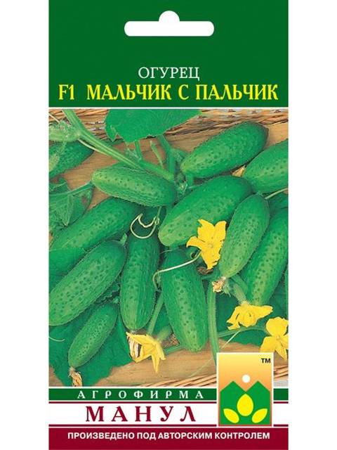Все о сорте огурцов малыш: описание, агротехника выращивания и уход