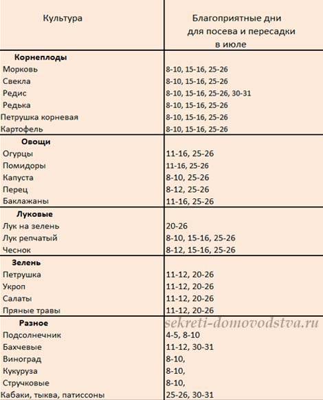 Когда сажать морковь под зиму в 2020 по лунному календарю, сроки посева по регионам, советы, фото, условия выращивания – сад и огород своими руками