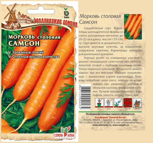Морковь самсон: что это за сорт, подробное описание и характеристика, фото овоща и советы по выращиванию