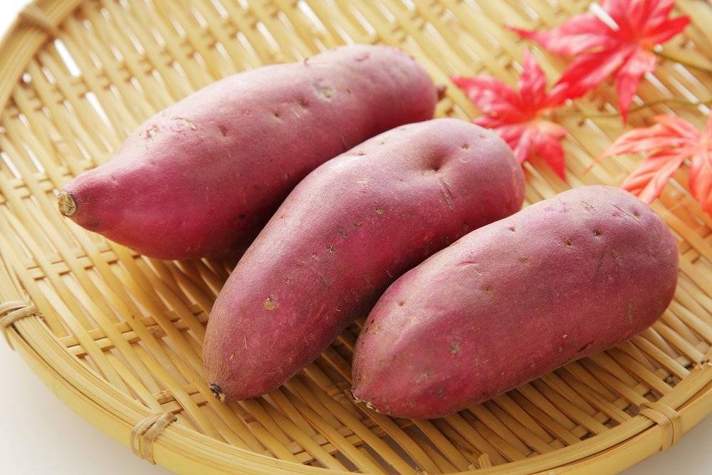 Полезный корнеплод батат и его отличия от картофеля