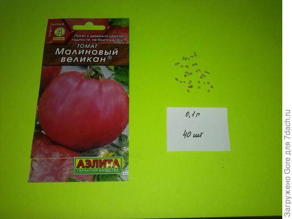 Томат "малиновый великан": описание сорта, рекомендации по выращиванию, фотографии помидор русский фермер