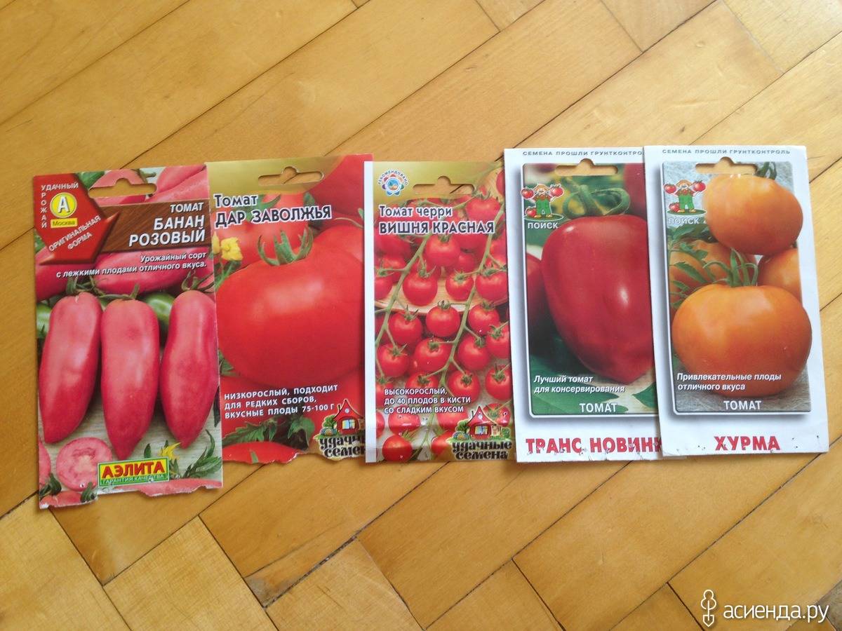 Томат корнабель: описание сорта, фото, отзывы
томат корнабель: описание сорта, фото, отзывы