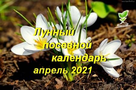 Лунный календарь огородника и садовода на март 2021 года. благоприятные дни для посадки растений в марте 2021 — мир космоса