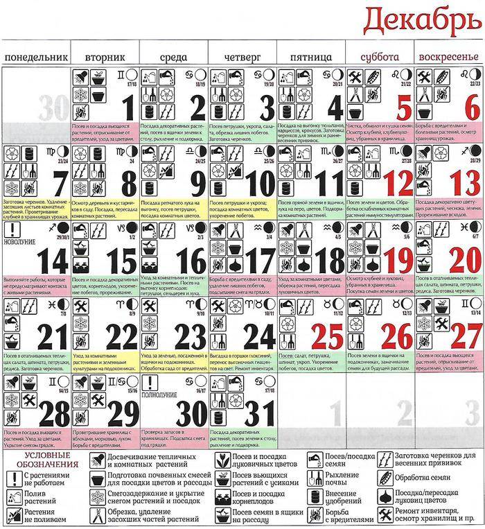Лунный календарь садовода и огородника на март 2021 года