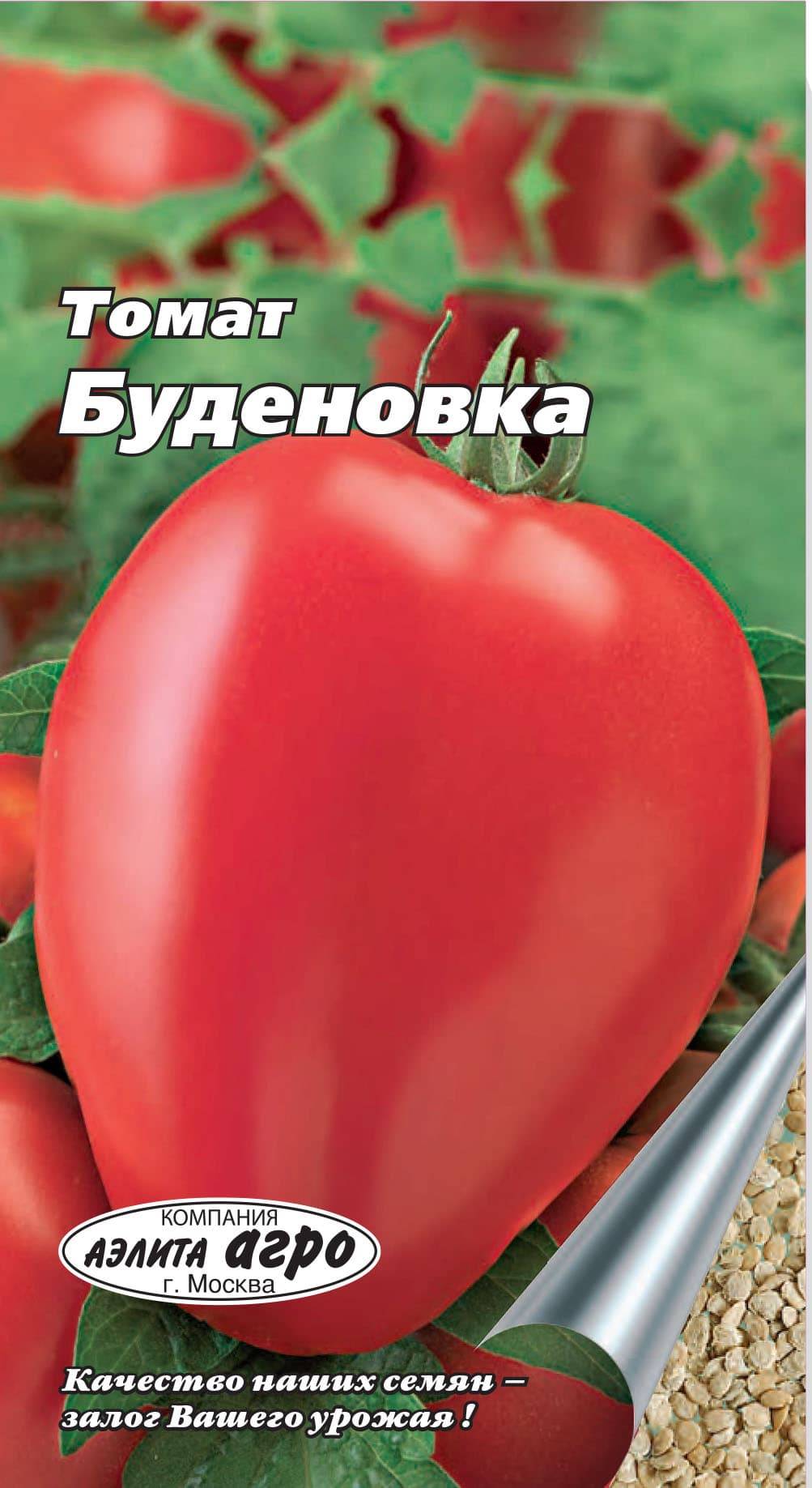 Томат буденовка розовая. Сорт томата Буденовка. Семена томат Буденовка. Сорт помидор Буденовка.