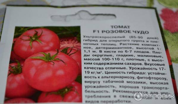 Настоящее сокровище на вашем огороде — томат розовый клад f1: детальное описание сорта