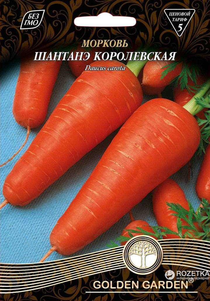 Морковь шантане: описание и особенности агротехники