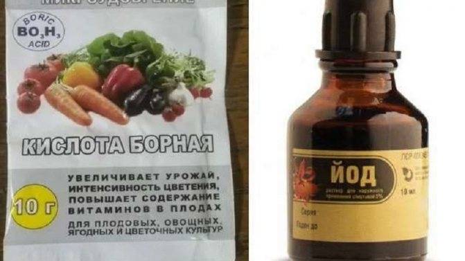 Борная кислота для томатов: применение для завязи растений, как опрыскивать и разводить