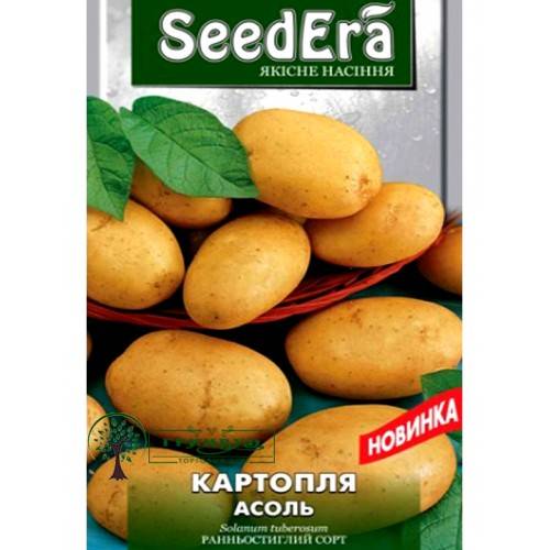 Купить Семена Картофеля Нандин