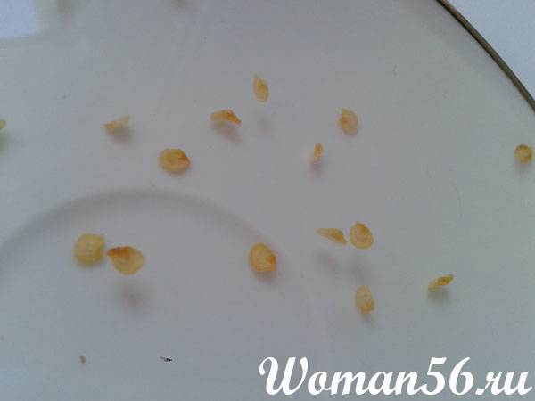 Проверить всхожесть семян перца в соленой воде. Как проверить семена на всхожесть в домашних условиях. Как проверить семена перца на всхожесть. Семена перца в оболочке. Как проверить семена перца на всхожесть в домашних условиях.