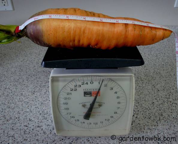 Сколько грамм весит морковь