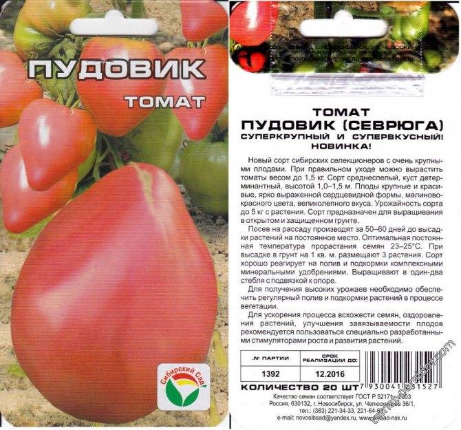 Томат севрюга описание