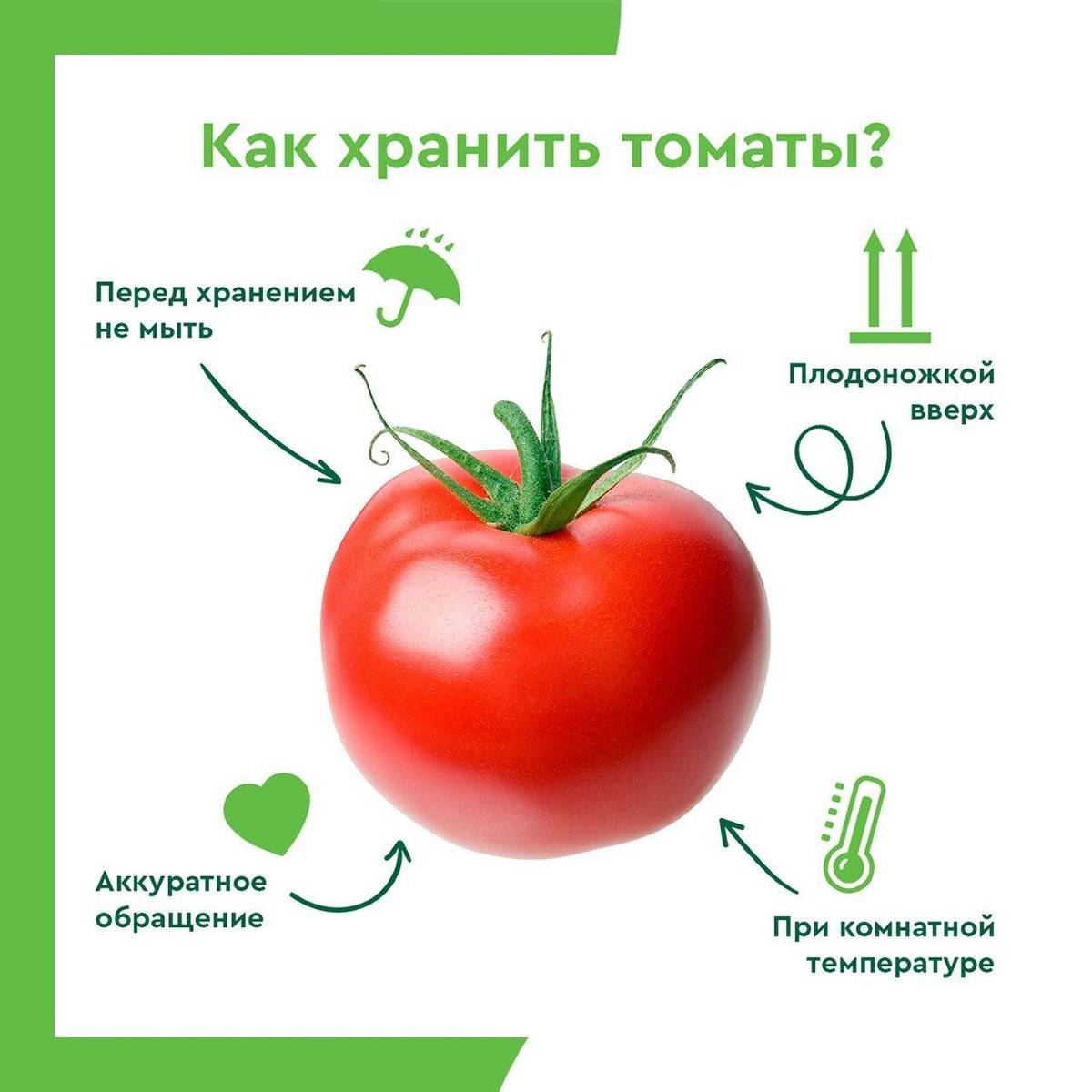 Сохранить семена томатов. Томаты. Условия хранения помидоров свежих. Условия хранения томатов. Как хранятся помидоры.