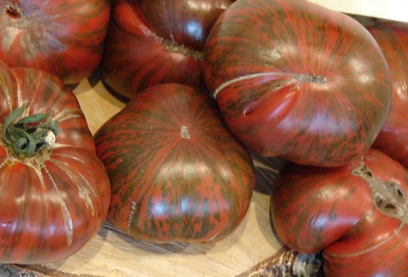 Описание и тонкости выращивания томата полосатый шоколад