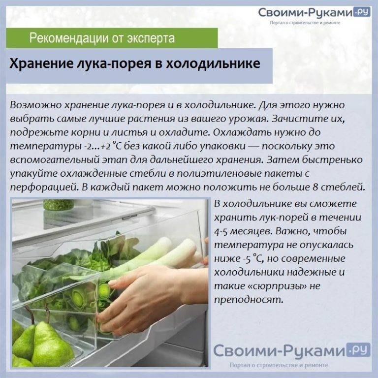 Как сохранить лук свежим в холодильнике