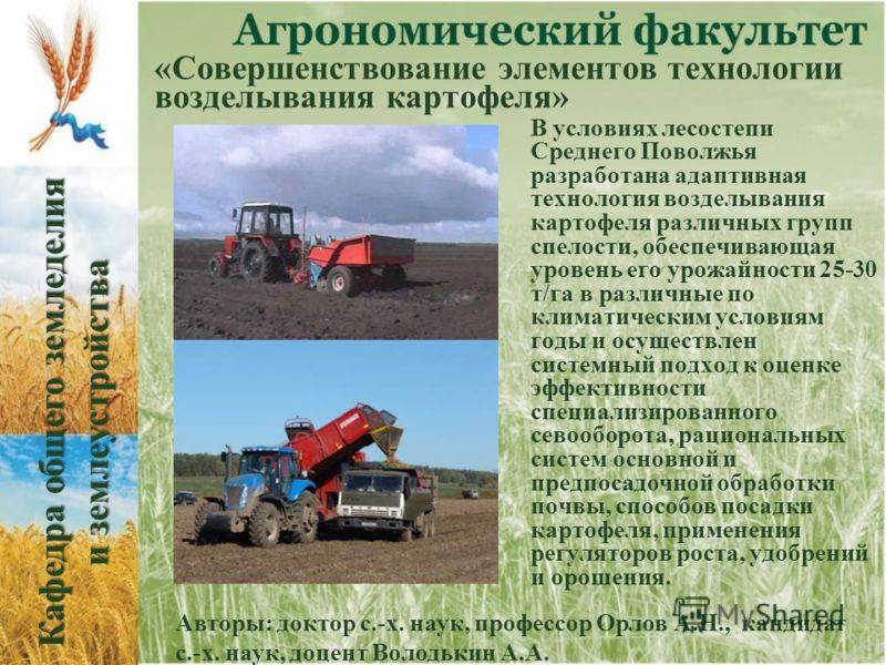 Презентация технология возделывания картофеля