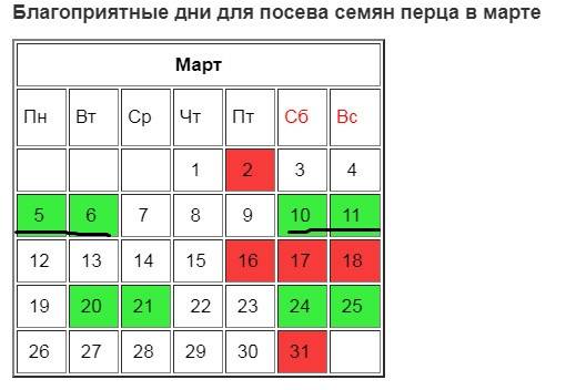 Посадка перца в 2021 году на рассаду и в теплицу: сроки посадки, календарь